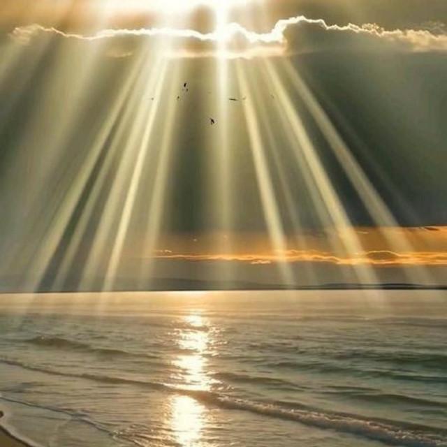 Sunlight dancing on the sea