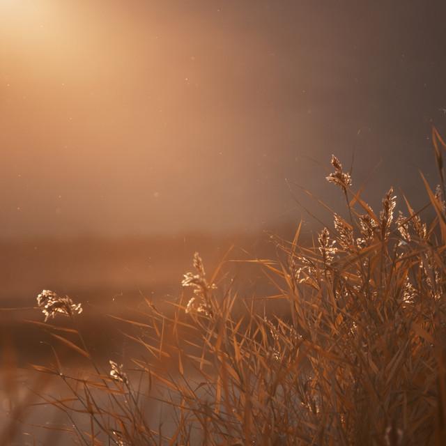 Happiness at the end