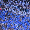 Brighton & Hove Albion F.C.