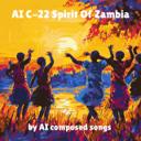 AI C-22 Spirit Of Zambia