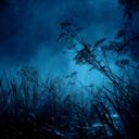 if you weren't there