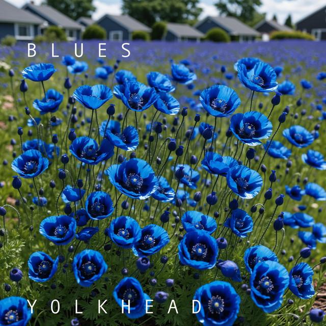 Rain, morning, Ridgeview