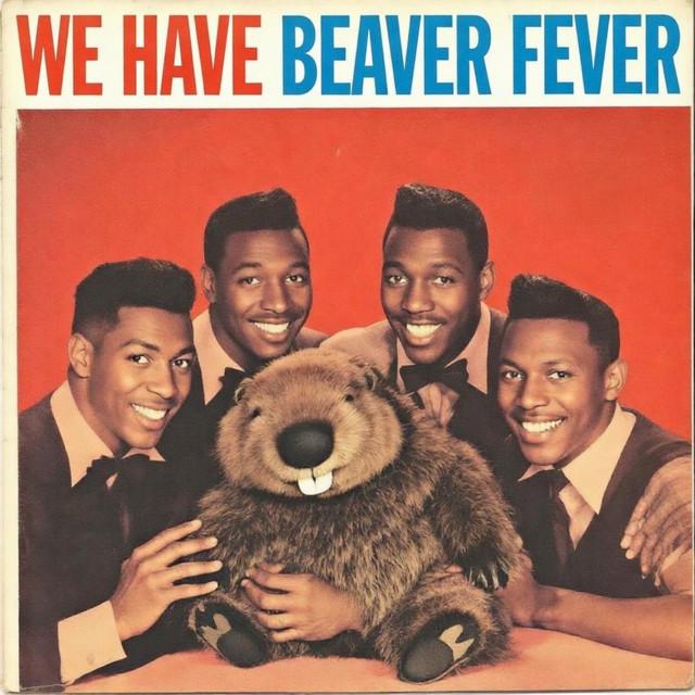 We Have Beaver Fever