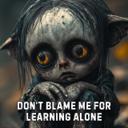 Don’t Blame Me For Learning Alone