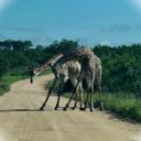 Maybe its a mans world