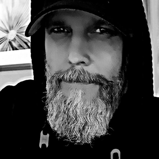 Rising from the ashes