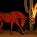 Sanctuary of Solitude