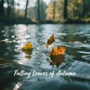 Falling Leaves of Autumn