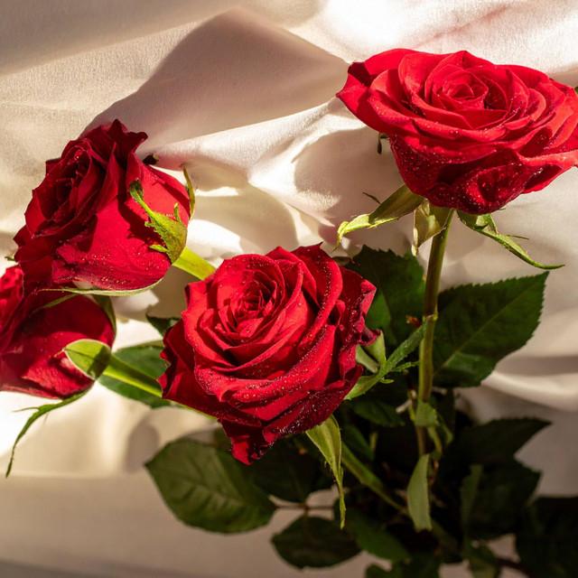 Let’s Be Us (Come What May) Ver 2