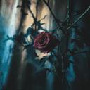 Dying in Your Arms - Acoustic