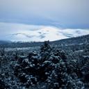 The Butcher In My Brain