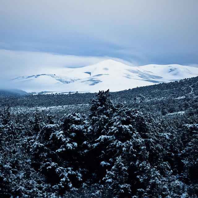 The Butcher In My Brain