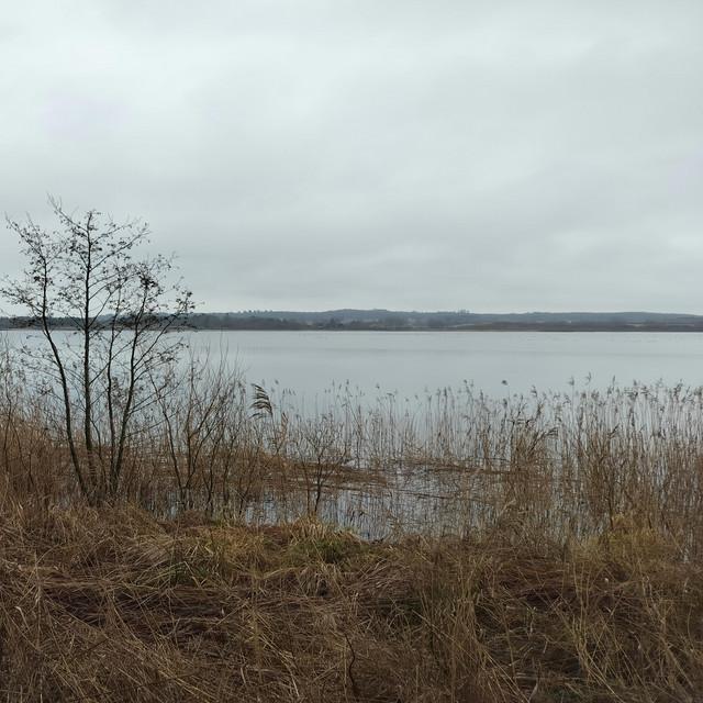 All alone in the wilderness