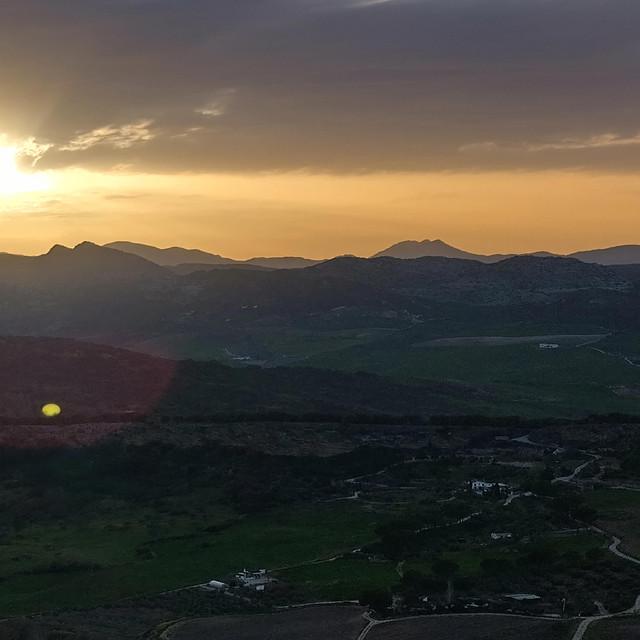 Creatures of the Night