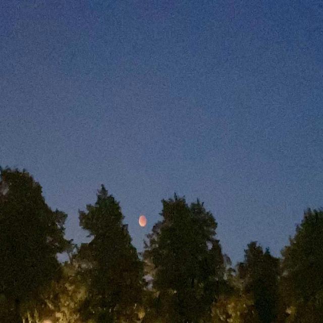 I can’t do this anymore