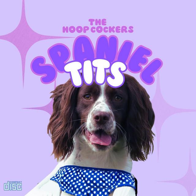 Spaniel Tits