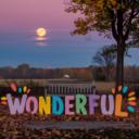 Wonderful
